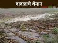 Amravati Rain : अमरावतीत जोरदार पाऊस, वीज, वादळाचे रौद्ररूप; वीज कोसळून तिवस्यात मजूर, मेळघाटात वृद्ध ठार - Marathi News | Amravati Rain : Heavy rain, lightning, thunderstorm in Amravati | Latest agriculture News at Lokmat.com