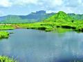 एमआयडीसीने जागा घेतली पण उद्योगांचा पत्ताच नाही - Marathi News | MIDC took the seats but the industry did not know | Latest thane News at Lokmat.com