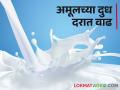 Amul Milk 'अमूल'च्या दूधविक्री दरात दोन रुपयांची वाढ - Marathi News | Amul Milk; Amul's milk price hiked by Rs 2 | Latest agriculture News at Lokmat.com