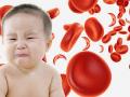 दोन वर्षाआतील बालकांचा अ‍ॅनिमियाशी लढा! - Marathi News | Two-year-old childrens battles with anemia! | Latest akola News at Lokmat.com