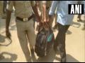 आचारसंहितेचा भंग! १ कोटी रुपये असलेली बॅग बसमधून जप्त  - Marathi News | Code of Conduct dissolved! 1 crore worth of bag seized from buses | Latest crime News at Lokmat.com