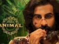 Animal च्या Advance बुकिंगला सुरुवात, पहिल्या दोनच दिवसात केली तगडी कमाई - Marathi News | Ranbir Kapoor next movie Animal Advance Booking creates record as collection went to 2 lakhs in just 2 days | Latest filmy News at Lokmat.com