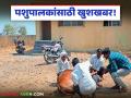 Animal Healthcare : पशुपालकांसाठी मोठी खुशखबर; आता मिळणार 'डबल' सुविधा! - Marathi News | latest news Animal Healthcare: Big good news for animal husbandry; Now you will get 'double' facilities! | Latest agriculture News at Lokmat.com