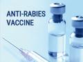आता १४ दवाखान्यात मिळणार ‘अ‍ॅण्टी रॅबीज’ लस - Marathi News | 'Anti Rabies' vaccine will be available in 14 hospitals now | Latest nagpur News at Lokmat.com