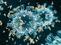coronavirus: महिलांच्या तुलनेत पुरुषांच्या शरीरात निर्माण होताहेत अधिक अँटीबॉडी - Marathi News | coronavirus: More antibodies in the body of men than women | Latest mumbai News at Lokmat.com