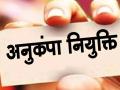 अनुकंपाच्या तब्बल ५,१८७ उमेदवारांना मिळणार नियुक्तिपत्रे; एकाच दिवशी १० हजार जण नोकरीत हाेणार रुजू - Marathi News | As many as 5,187 candidates of Anukampa will get appointment letters; 10,000 people will join the job on a single day | Latest maharashtra News at Lokmat.com