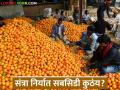 तिसरे अधिवेशन आले, अद्यापही संत्रा निर्यात अनुदानाचे पैसे मिळाले नाहीत, इतक्या कोटींचा निधी पडून! - Marathi News | Latest news santra niryat anudan The farmers have not received the Rs. 169 crore subsidy for orange exports | Latest agriculture News at Lokmat.com