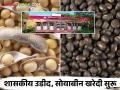 बारामती बाजार समितीत शासकीय उडीद, सोयाबीन खरेदी केंद्र सुरू - Marathi News | Baramati Market Committee Govt. Udid, Soybean Buying Center started | Latest agriculture News at Lokmat.com