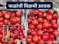 गणेशोत्सवाला नवी मुंबईत बाजार समितीत ६२५ टन फळ आवक; 'ह्या' फळाला सर्वाधिक पसंती - Marathi News | 625 tons of fruit arrived at the market committee in Navi Mumbai for Ganeshotsav; 'This' fruit is the most popular | Latest agriculture News at Lokmat.com