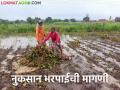 Crop Damage : वर्षभरात नैसर्गिक आपत्तीमुळे जिल्ह्यात 'इतके' कोटींचे नुकसान;  मदत मात्र तुटपुंजी  - Marathi News | Crop Damage : Loss of 'so many' crores in the district due to natural calamities in a year;  But the help is meager  | Latest agriculture News at Lokmat.com
