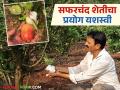 जम्मू काश्मीरचं सफरचंद पिकतंय कोल्हापूरच्या मातीत; यळगूडचे शेतकरी अनिल यांचा प्रयोग यशस्वी - Marathi News | Jammu and Kashmir apples are growing in Kolhapur soil; farmer anil from Yalgud's experiment is successful | Latest agriculture News at Lokmat.com