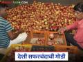 Apple Market : बाजार समितीमध्ये देशी सफरचंदाची वाढली गोडी वाचा सविस्तर - Marathi News | latest news Apple Market: Read in detail the increased sweetness of local apples in the market committee | Latest agriculture News at Lokmat.com