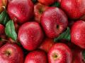 रोज सफरचंद खाल्ल्यानं डॉक्टर खरंच दूर राहतो का? जाणून घ्या सत्य... - Marathi News | Eat apple a day, keep doctor away; is it true? | Latest health News at Lokmat.com