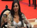 आर्शी खान थिरकणार बिपाशा बासूच्या गाण्यावर - Marathi News | Arshi Khan will perform on Bipasha Basu's song | Latest filmy News at Lokmat.com