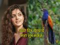 Astrology: 'अच्छे दिन' येण्यापूर्वी मिळतात 'हे' शुभ संकेत; ओळखा तुमच्या आयुष्यातील ६ दैवी बदल! - Marathi News | Astrology: These auspicious signs are given before 'good days' arrive; Identify 6 divine changes in your life! | Latest bhakti Photos at Lokmat.com