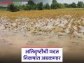 अतिवृष्टी झालेल्या भागात 'या' तीन निकषांमध्ये अडकू शकते राज्य सरकारची मदत; वाचा सविस्तर - Marathi News | State government assistance in areas affected by heavy rainfall may fall under these three criteria; Read in detail | Latest agriculture News at Lokmat.com