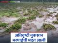 अतिवृष्टी व पुरामुळे झालेल्या शेतीपिकांच्या नुकसान भरपाईचा जीआर आला; कोणत्या जिल्ह्याला किती निधी? - Marathi News | GR for compensation for crop damage caused by heavy rains and floods has arrived; How much fund for which district? | Latest agriculture News at Lokmat.com