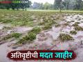 अतिवृष्टीमुळे झालेल्या शेतीपिकांच्या नुकसान मदतीचा शासन निर्णय जारी कोणत्या जिल्ह्याला किती मदत - Marathi News | Government decision issued for the help of agricultural crop damage due to heavy rain How much help to which district | Latest agriculture News at Lokmat.com