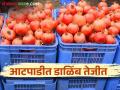 आटपाडीत डाळिंबाला मिळाला सर्वाधिक दर प्रतिकिलो कसा मिळाला भाव - Marathi News | Pomegranate got the highest price in Atpadi How did you get the price per kg? | Latest agriculture News at Lokmat.com