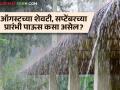 Maharashtra Rain Update : राज्यात पुढील दोन आठवडे पाऊस कसा असेल? जाणून घ्या सविस्तर  - Marathi News | Latest News Maharashtra Rain Update Chance of rain in next two weeks in maharashtra Know in detail  | Latest agriculture News at Lokmat.com