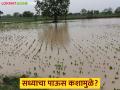 Maharashtra Rain : सध्याचा मुसळधार पाऊस कशामुळे, अन् हा पाऊस कधीपर्यंत राहील? वाचा सविस्तर - Marathi News | Latest News Maharashtra Rain reason for current heavy rain and How many days of rainRead in detail | Latest agriculture News at Lokmat.com