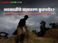 Maharashtra Weather Update : महाराष्ट्रात अवकाळी पावसाचे वातावरण किती दिवस राहील? वाचा सविस्तर  - Marathi News | Latest News Avkali Paus Rain How long will the unseasonal weather continue in Maharashtra Read in detail | Latest agriculture News at Lokmat.com