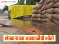 Maharashtra Rain : अवकाळीचे सावट, शेतकऱ्यांना रब्बी हंगामातील पिके, चारा वाया जाण्याची भीती! - Marathi News | Latest News maharashtra rain Farmers fear that unseasonal weather will damage of Rabi season crops and fodder | Latest agriculture News at Lokmat.com