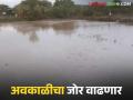 पुढील ३ दिवस राज्यात जोरदार पावसाची शक्यता; अधिक जोर कोणत्या भागात? - Marathi News | Heavy rain likely in the state for the next 3 days; Which areas will be more affected? | Latest agriculture News at Lokmat.com