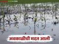 राज्यात फेब्रुवारी ते मे या कालावधीत अवकाळी पावसामुळे झालेल्या नुकसान भरपाईसाठी निधी आला - Marathi News | Funds have been received to compensate for the damage caused by unseasonal rains in the state between February and May | Latest agriculture News at Lokmat.com