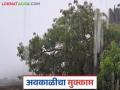 राज्यात या भागात पुढील तीन दिवस वादळी वाऱ्यासह अवकाळी पाऊस दणका देणार - Marathi News | Unseasonal rains accompanied by strong winds will hit this part of the state for the next three days | Latest agriculture News at Lokmat.com