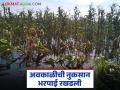 पंचनामा झाला, ई-केवायसी केली; सात महिने होऊन गेले नक्की मदत मिळणार तरी कधी? - Marathi News | Panchnama done, e-KYC done; It's been seven months, when will we get any help? | Latest agriculture News at Lokmat.com