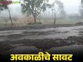 Weather Update Maharashtra : कमी दाबाच्या पट्टयामुळे येत्या १० दिवसांत संपूर्ण महाराष्ट्रात अवकाळी पावसाची शक्यता - Marathi News | Weather Update Maharashtra : Unseasonal rains likely across Maharashtra in the next 10 days due to low pressure area | Latest agriculture News at Lokmat.com