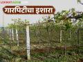 Maharashtra Weather Update : राज्यात अवकाळीचा मुक्काम वाढला; पुढील पाच दिवस पावसाचा इशारा - Marathi News | Maharashtra Weather Update : Unseasonal rains continue to linger in the state; Rain warning for next five days | Latest agriculture News at Lokmat.com