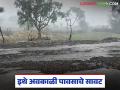 राज्यातील 'या' जिल्ह्यावर अवकाळीचे सावट, फेब्रुवारी व मार्च महिने धोक्याचे, वाचा सविस्तर  - Marathi News | Latest News Unseasonal weather conditions are expected in jalgaon district in February and March | Latest agriculture News at Lokmat.com