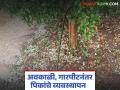 अवकाळी व गारपिटीनंतर आंबा, कांदा, डाळिंब पिके वाचवायची कशी, वाचा सविस्तर  - Marathi News | Latest news How to save mango, onion, and pomegranate crops after unseasonal rains and hailstorms, read in detail | Latest agriculture News at Lokmat.com