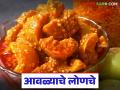 आंबा सोडा, आवळ्याचं लोणचं खाऊन बघा, उन्हाळ्यात करा आवळा लोणचं, ही सोपी रेसिपी समजून घ्या! - Marathi News | Latest news try amla pickle, mango pickle make amla pickle in summer, understand this easy recipe | Latest agriculture News at Lokmat.com