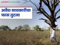 Savkari Karja : अवैध सावकारीचा फास तुटला; बळकावलेली शेती शेतकऱ्याला परत - Marathi News | latest news Savkari Karja: The noose of illegal moneylending has been broken; The seized land has been returned to the farmer | Latest agriculture News at Lokmat.com