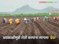 Avkali Paus: अवकाळी पावसाने शेतीची कामे ठप्प; खरीप पेरणीवर संकट? वाचा सविस्तर - Marathi News | Awakali Paus: Unseasonal rains halt agricultural work; Kharif sowing in crisis? Read in detail | Latest agriculture News at Lokmat.com