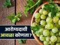 Awala : तुम्ही घेताय तो आवळा गावरान की संकरित? वाचा सविस्तर - Marathi News | Awala: Are you buying a wild or hybrid awala? Read in detail | Latest agriculture News at Lokmat.com