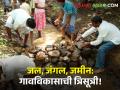 जल, जंगल, जमीनीच्या त्रिसूत्रीनं राज्यातील हे गाव झालं स्वयंपूर्ण - Marathi News | This village in the state became self-sufficient due to the trinity of water, forest and land | Latest agriculture News at Lokmat.com