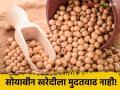 Soybean Procurement : हमीभावाने सोयाबीन खरेदी थांबली! सरकारकडून मुदतवाढ नाहीच - Marathi News | Soybean procurement at guaranteed price stopped! No extension from the government | Latest agriculture News at Lokmat.com