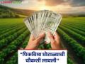 Crop Insurance Fraud : राज्यात बोगस पीकविमा घोटाळ्याची चौकशी सुरू! कृषीमंत्र्यांची माहिती - Marathi News | Crop Insurance Fraud Investigation into crop insurance scam in the state begins! Information from the Agriculture Minister | Latest agriculture News at Lokmat.com