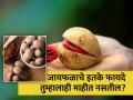 जायफळाचा रोजच्या आहारात करा समावेश, फायदे इतके की विचारही केला नसेल! - Marathi News | Jaiphal Heath benefits: Amazing reasons you should include nutmeg in your daily diet | Latest health Photos at Lokmat.com