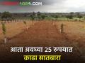 सातबारासाठी तलाठी कार्यालय कशाला? आता २५ रुपये मोजून... - Marathi News | Why Talathi Office for Satbara? Now by counting Rs. 25... | Latest agriculture News at Lokmat.com