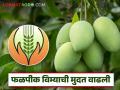 Crop Insurance : शेतकऱ्यांना दिलासा! फळपीक विमा अर्जासाठी मिळाली मुदतवाढ - Marathi News | Crop Insurance: Relief for farmers! Extension of deadline for fruit crop insurance application | Latest agriculture News at Lokmat.com