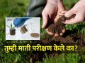 तुमची जमीन निरोगी आहे का? तपासा माती परीक्षणातून - Marathi News | Is your soil healthy? Check with a soil test | Latest agriculture News at Lokmat.com