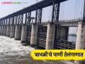Babli project: बाभळी बंधाऱ्याचे पाणी गेले तेलंगणात; आता किती पाणीसाठा शिल्लक वाचा सविस्तर - Marathi News | Babli project: Babli Barrage gates to release 0.6 tmc ft water to Telangana yesterday | Latest agriculture News at Lokmat.com