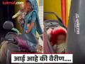 आई आहे की वैरीण! आईने चिमुकल्या बाळाला स्कूटीच्या डिक्कीत ठेवलं आणि....सोशल मीडियावर संताप.... - Marathi News | Shocking! Woman places baby inside scooter box video sparks outrage | Latest social-viral News at Lokmat.com