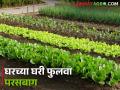 कमीत कमी जागेत घरच्या घरी भाजीपाला कसा पिकवाल? - Marathi News | How to grow vegetables at home in minimum space? | Latest agriculture News at Lokmat.com