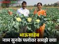 बाजारपेठेतील मागणी आणि भाजीपाला लागवड; निमगावातील शेतकऱ्याला फ्लॉवरने केले मालामाल - Marathi News | Market Demand and Vegetable Cultivation; The cauliflower made the farmer of Nimgaon rich | Latest agriculture News at Lokmat.com